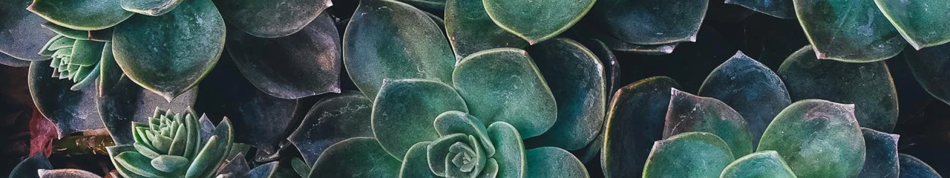 Magento 2 - setup:di:compile - class \Zencard_Util does not exist