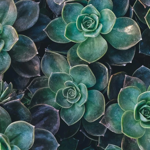 Magento 2 - setup:di:compile - class \Zencard_Util does not exist