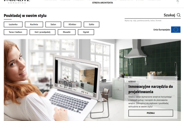 paradyz.com case study